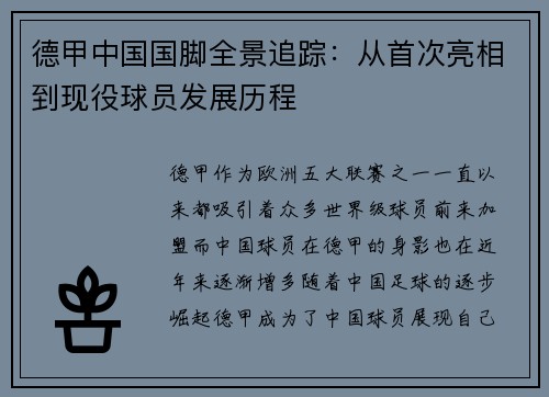 德甲中国国脚全景追踪：从首次亮相到现役球员发展历程